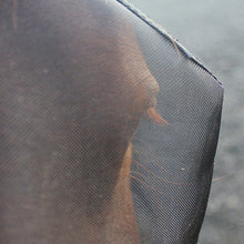 Woof Wear Fly Mask W Ears