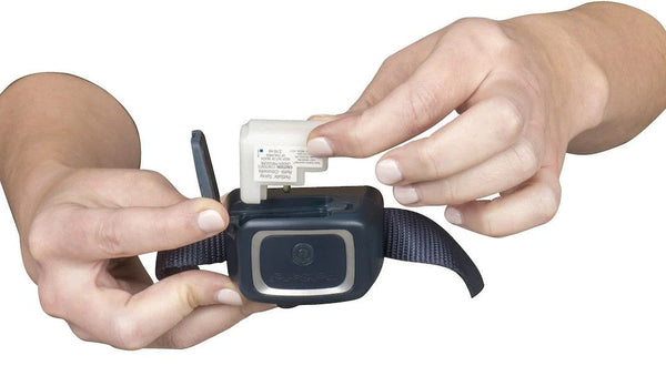 Bark Collar Spray Petsafe-Dog Accessories-Ascot Saddlery