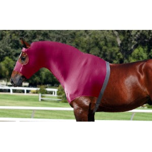Bib Wonder Coat Hood Blue-RUGS: Rug Accessories-Ascot Saddlery