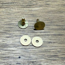 Horse Halter Nameplate