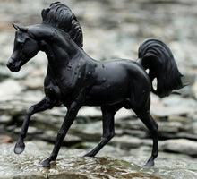 Breyer Freedom Black Stallion Horse & Book Set-RIDER: Giftware-Ascot Saddlery