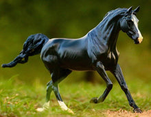 Breyer Traditional Kb Omega Fahim Arabian-RIDER: Giftware-Ascot Saddlery