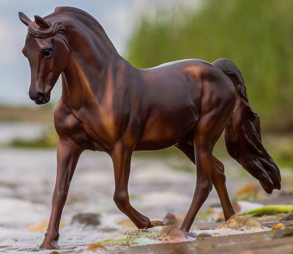 Breyer Traditional Morgan Quest Native Sun-RIDER: Giftware-Ascot Saddlery