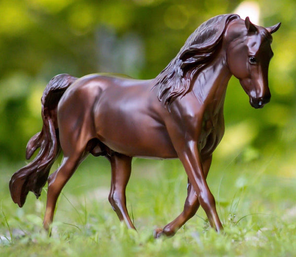 Breyer Traditional Morgan Quest Native Sun-RIDER: Giftware-Ascot Saddlery