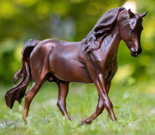 Breyer Traditional Morgan Quest Native Sun-RIDER: Giftware-Ascot Saddlery