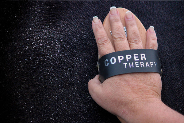 GeeGee COLLECTIVE | Premium Grooming Kit