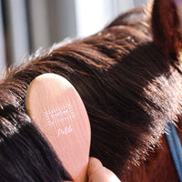 GeeGee COLLECTIVE | Mini Mane and Tail Brush