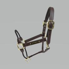Kentucky Rope Leather Halter