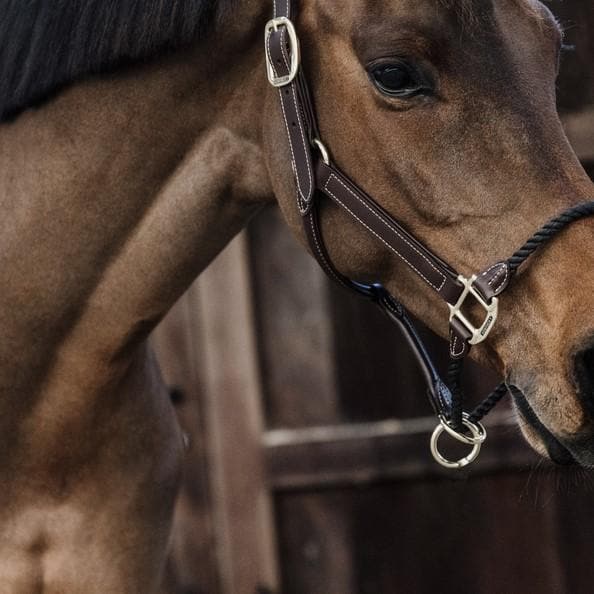 Kentucky Rope Leather Halter