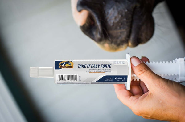 Cavalor Take It Easy Forte Syringe 60gm-STABLE: Supplements-Ascot Saddlery