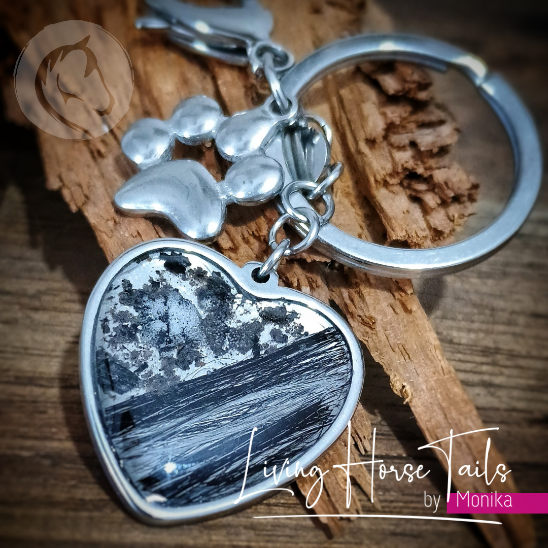 Stainless Steel Cat / Dog Paw Hair Keepsake Keyring