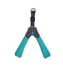 Harness Dog Coralpina Cinquetorri Turquoise