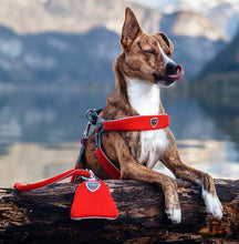 Coralpina Cinquetorri Waste Bag Electric Blue-Dog Walking-Ascot Saddlery