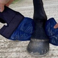 Cryochaps Absolute Ice Wrap Pastern Hocks Knees Pair-STABLE: Ice Boots-Ascot Saddlery
