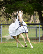 Deluxe Flagcloth Combo Rug