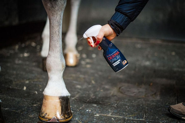 Cavalor Equicare Derma Spray