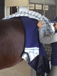 Earlwood Dual Season Fleece Lined Rug-RUGS: Summer Rugs, Neck Rugs & Hoods-Ascot Saddlery