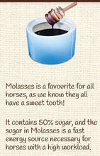 Equine Pure Delights Treat Apple Cinnamon Molasses-STABLE: Horse Treats & Toys-Ascot Saddlery