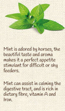 Equine Pure Delights Treat Carrot Mint Turmeric Chia-STABLE: Horse Treats & Toys-Ascot Saddlery