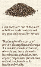 Equine Pure Delights Treat Carrot Mint Turmeric Chia-STABLE: Horse Treats & Toys-Ascot Saddlery