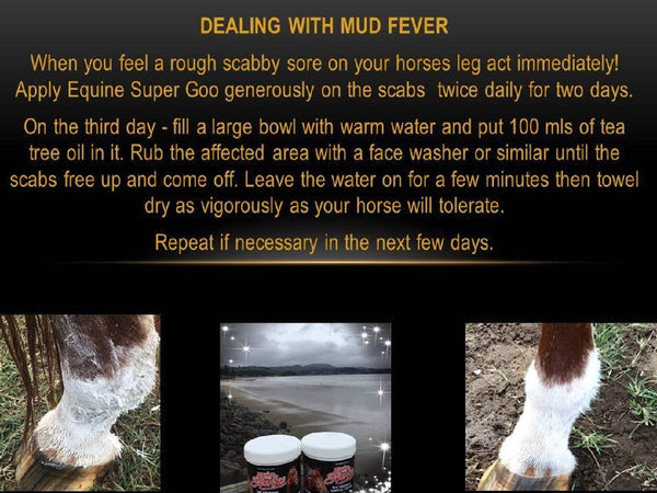 Equine Super Goo Topical Ointment 500ml-STABLE: First Aid & Dressings-Ascot Saddlery