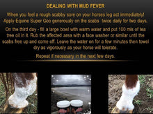 Equine Super Goo Topical Ointment 500ml-STABLE: First Aid & Dressings-Ascot Saddlery