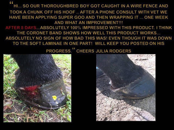 Equine Super Goo Topical Ointment 500ml-STABLE: First Aid & Dressings-Ascot Saddlery