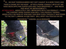 Equine Super Goo Topical Ointment 500ml-STABLE: First Aid & Dressings-Ascot Saddlery