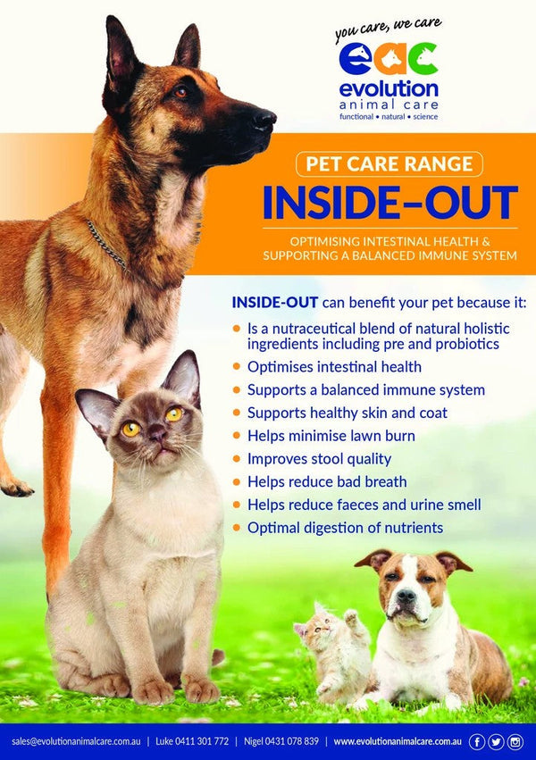 Evolution Iso Pet 40gm-STABLE: Supplements-Ascot Saddlery