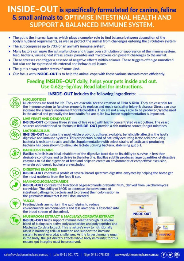 Evolution Iso Pet 40gm-STABLE: Supplements-Ascot Saddlery