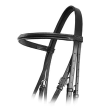 Fancy Stitch Traditional Grackle Bridle