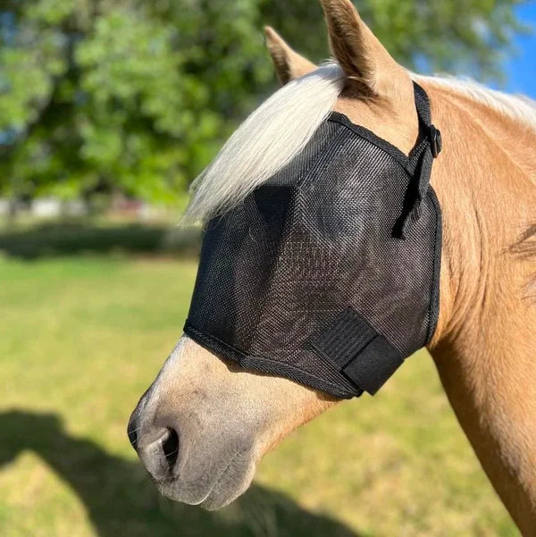 Flyveils By Design Budget Horse Fly Veil