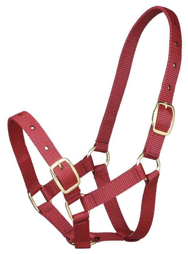 Foal Headstall Gymkhana Burgundy-HORSE: Headstalls-Ascot Saddlery