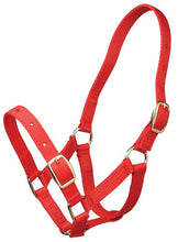 Foal Headstall Gymkhana Red-HORSE: Headstalls-Ascot Saddlery