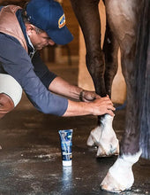 Cavalor Equicare's Freebute Joint Supplement Gel