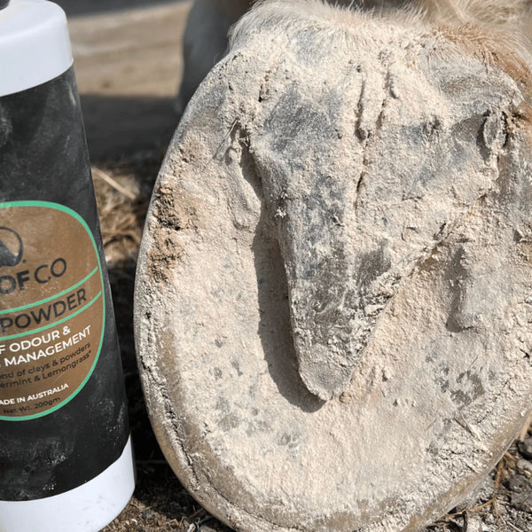 Hoof Powder