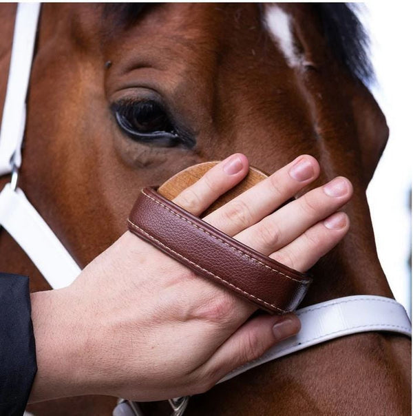 Hairy Pony Brush Face-STABLE: Grooming-Ascot Saddlery