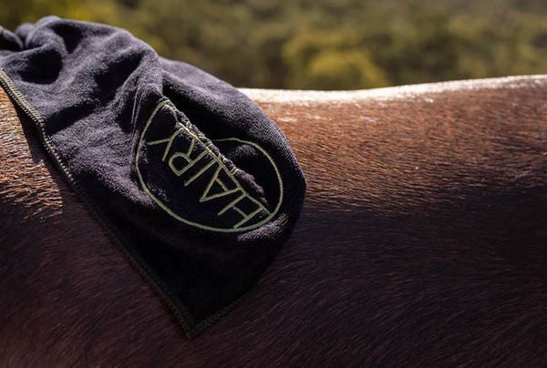 Hairy Pony Microfibre Towelette-STABLE: Grooming-Ascot Saddlery