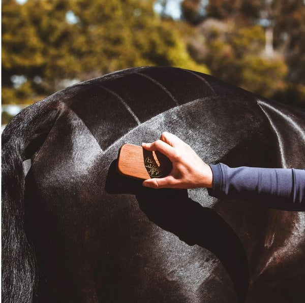 Hairy Pony Quarter Mark Brush-STABLE: Grooming-Ascot Saddlery