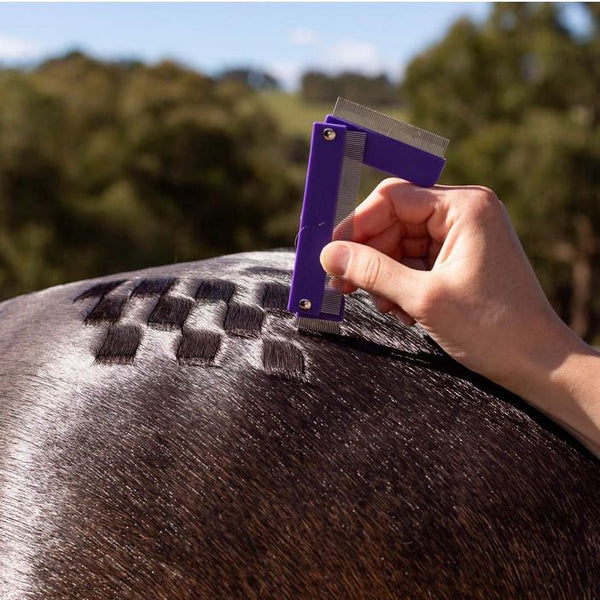 Hairy Pony Quarter Mark Comb-STABLE: Grooming-Ascot Saddlery