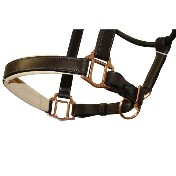 Headstall Leather Padded Jeremy & Lord Rose Gold Brown-HORSE: Headstalls-Ascot Saddlery