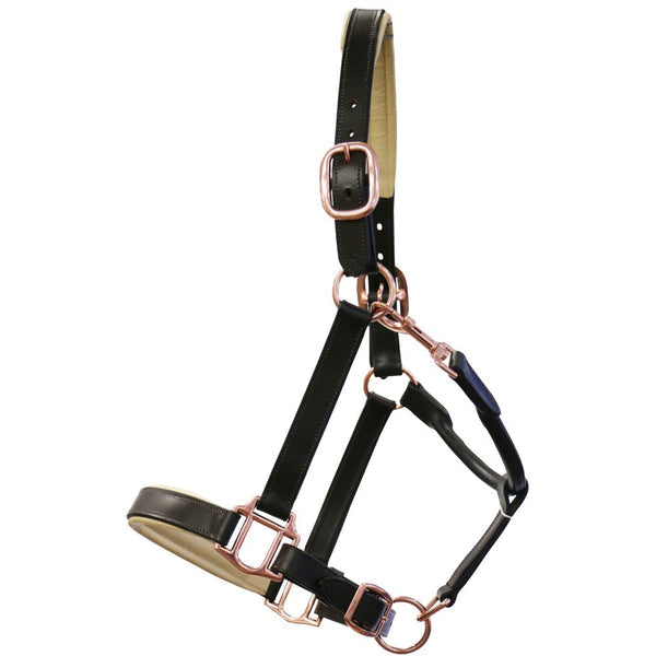 Headstall Leather Padded Jeremy & Lord Rose Gold Brown-HORSE: Headstalls-Ascot Saddlery