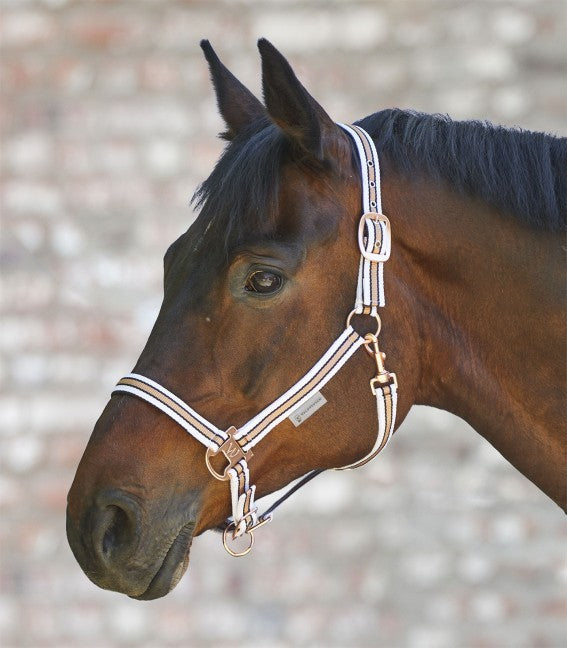 Headstall Rose Shine Elt White-HORSE: Headstalls-Ascot Saddlery