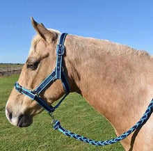 Headstall Webbing Eurohunter Comfort & Lead Navy & Aqua-HORSE: Headstalls-Ascot Saddlery