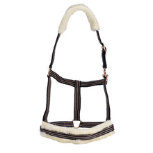 Headstall Webbing Fleece Padded Navy & Gold-HORSE: Headstalls-Ascot Saddlery