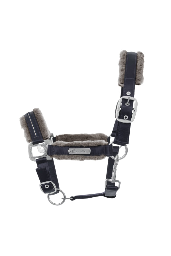 Cavallo HENNY Halter