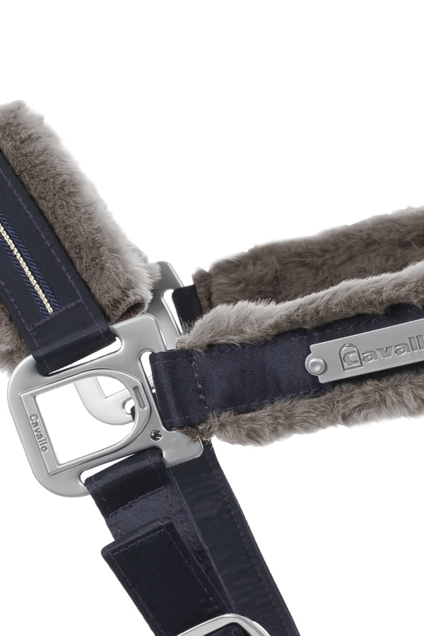 Cavallo HENNY Halter