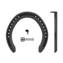 Horseshoe Hack Concave Daily Trainer-STABLE: Farrier-Ascot Saddlery
