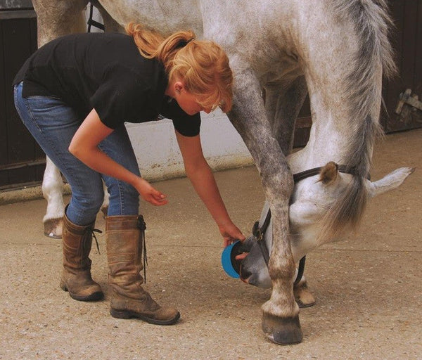 Horslyx Original Mini Vitamin & Mineral Lick 650gm-STABLE: Supplements-Ascot Saddlery