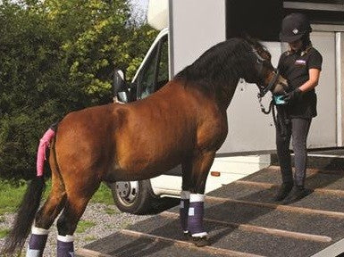 Horslyx Original Mini Vitamin & Mineral Lick 650gm-STABLE: Supplements-Ascot Saddlery